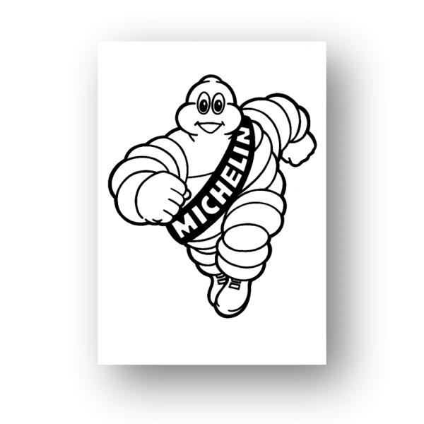 Carte plastifiée roulée Monde - Michelin - Boutique de l'Aventure Michelin