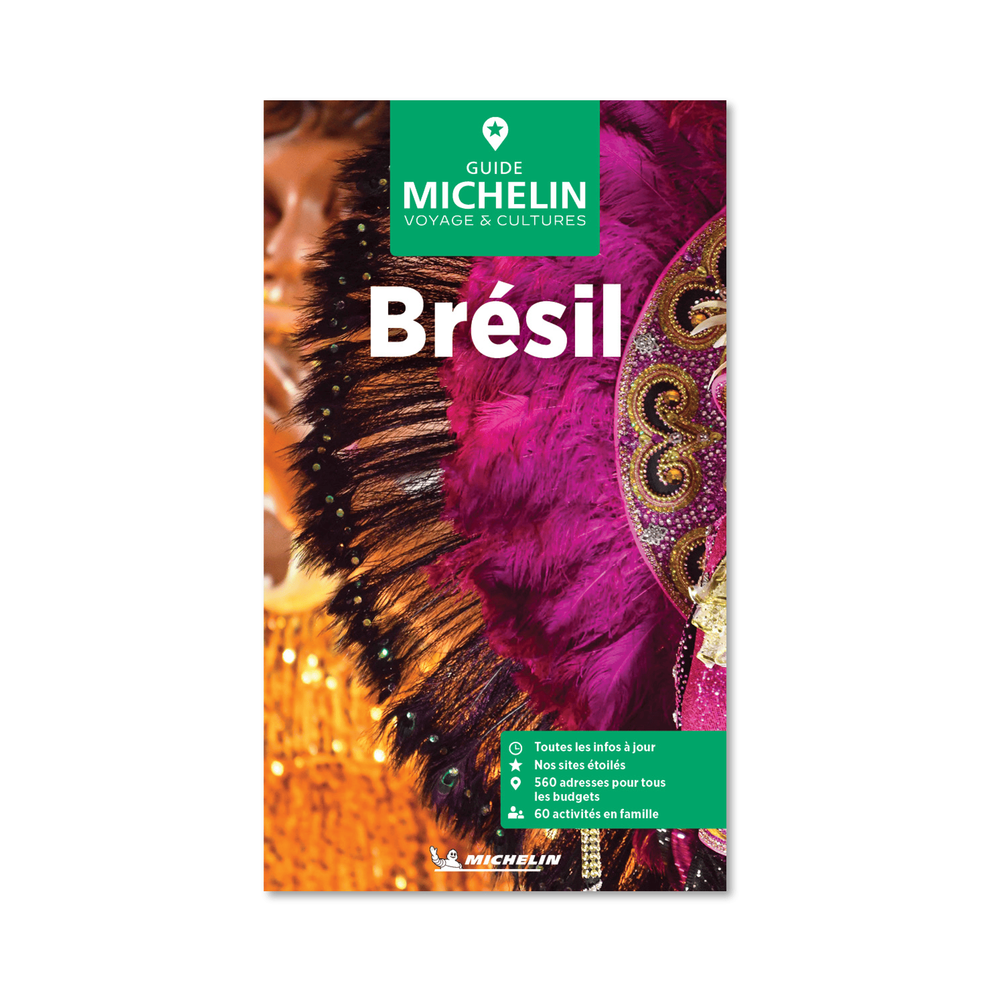 GV BRESIL- Cartes et guides Michelin