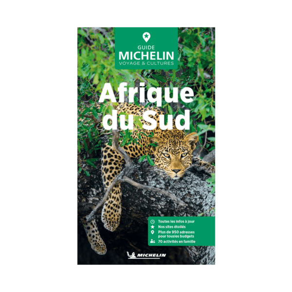 GV AFRIQUE DU SUD - Cartes et guides Michelin