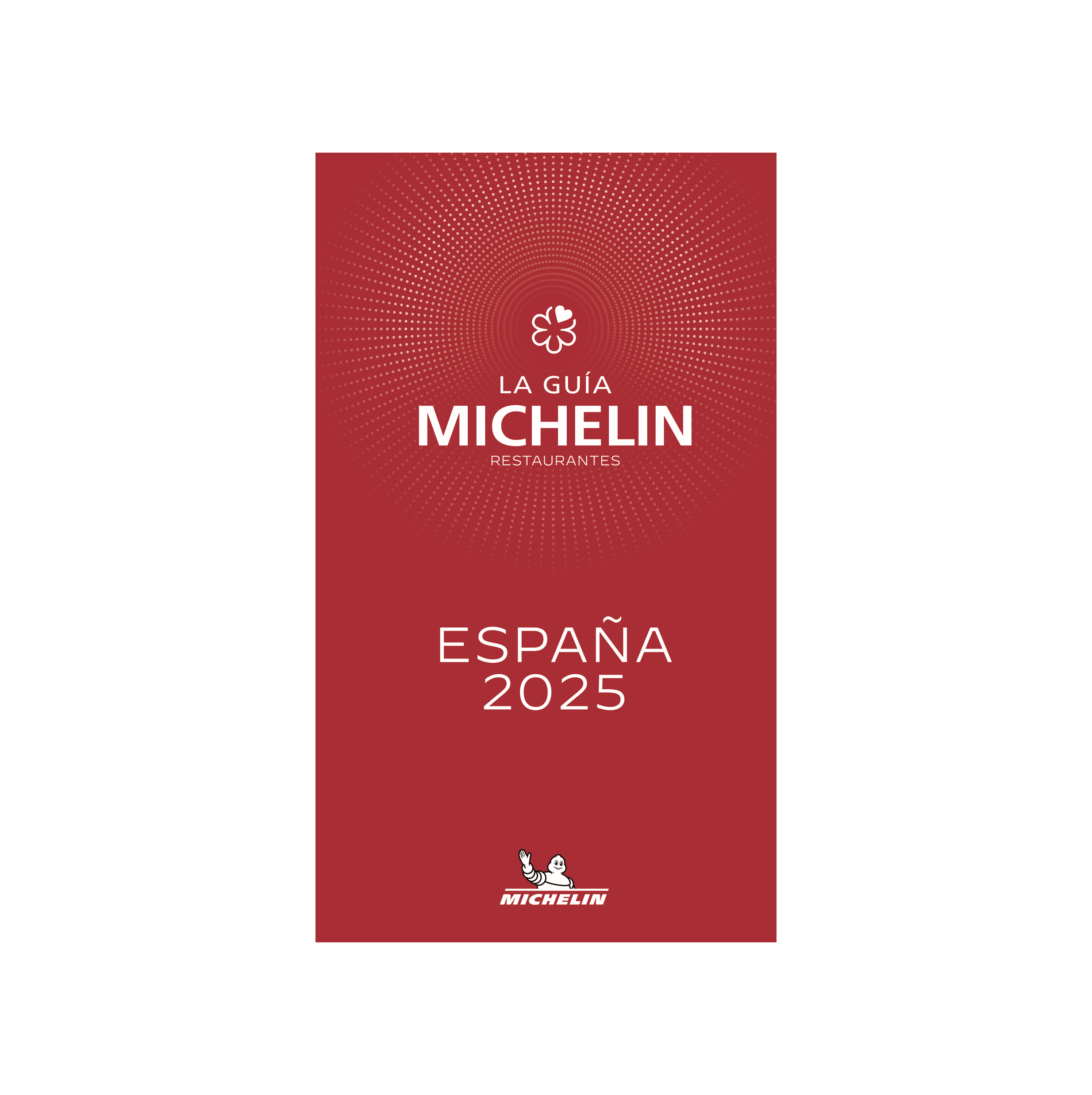 GR MICHELIN ESPAGNE - cartes et guides Michelin